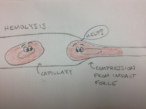 The mechanism of hemolysis
